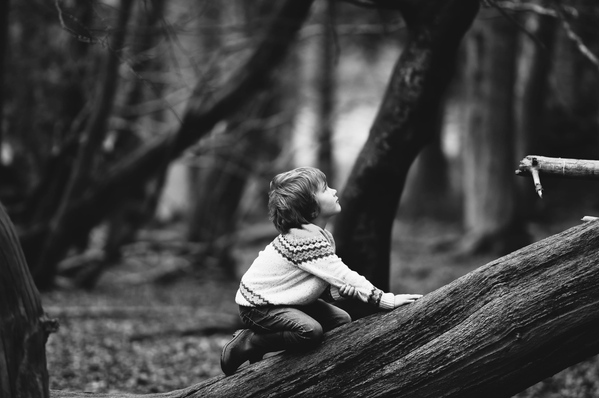 ph: Annie Spratt